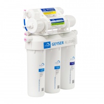 ГЕЙЗЕР Аллегро